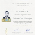 Ampliar imagen: certificate 1