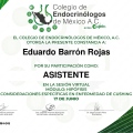 Ampliar imagen: certificate 9