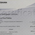 Ampliar imagen: certificate 1