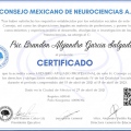 Ampliar imagen: certificate 22