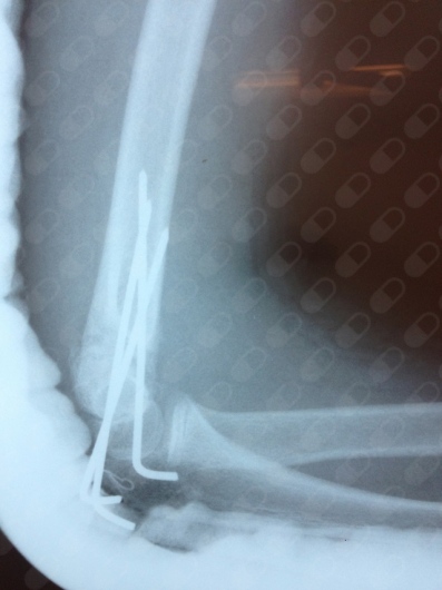 Luz Gabriela Villarreal Rivera-12