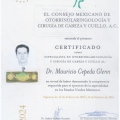 Ampliar imagen: certificate 1