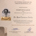 Ampliar imagen: certificate 3