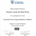 Ampliar imagen: certificate 9