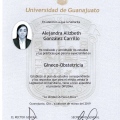 Ampliar imagen: certificate 24