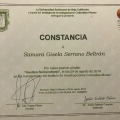 Ampliar imagen: certificate 2