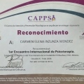 Ampliar imagen: certificate 38