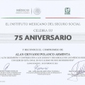 Ampliar imagen: certificate 17