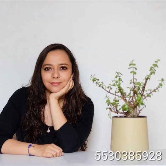 Mtra. Laura Isabel Espinosa Olivares