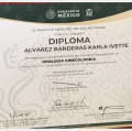 Ampliar imagen: certificate 2