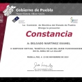 Ampliar imagen: certificate 15