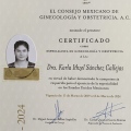 Ampliar imagen: certificate 5