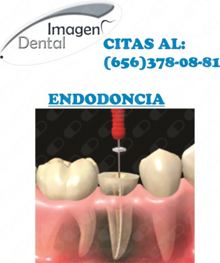 Leonel Palma Carlos-9