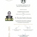 Ampliar imagen: certificate 6