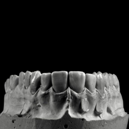 Abril Grijalva-10