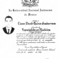 Ampliar imagen: certificate 4