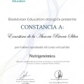 Ampliar imagen: certificate 9