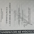 Ampliar imagen: certificate 6