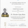 Ampliar imagen: certificate 8