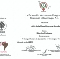 Ampliar imagen: certificate 15