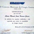 Ampliar imagen: certificate 5
