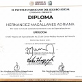 Ampliar imagen: certificate 4