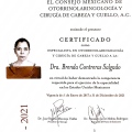 Ampliar imagen: certificate 5