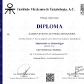 Ampliar imagen: certificate 3