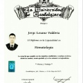 Ampliar imagen: certificate 4