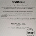Ampliar imagen: certificate 4