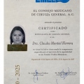 Ampliar imagen: certificate 2