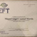 Ampliar imagen: certificate 6
