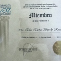 Ampliar imagen: certificate 4