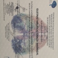 Ampliar imagen: certificate 7