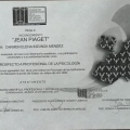 Ampliar imagen: certificate 40