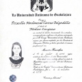 Ampliar imagen: certificate 7