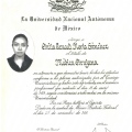 Ampliar imagen: certificate 3