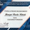 Ampliar imagen: certificate 7