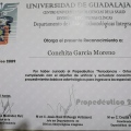 Ampliar imagen: certificate 5
