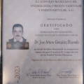 Ampliar imagen: certificate 6