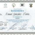 Ampliar imagen: certificate 31