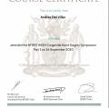 Ampliar imagen: certificate 9