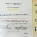 Ampliar imagen: certificate 3