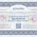 Ampliar imagen: certificate 1
