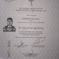 Ampliar imagen: certificate 22