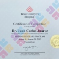 Ampliar imagen: certificate 4