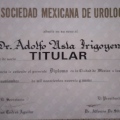 Ampliar imagen: certificate 5