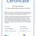 Ampliar imagen: certificate 3