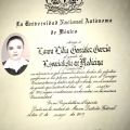 Ampliar imagen: certificate 3