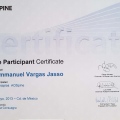Ampliar imagen: certificate 26